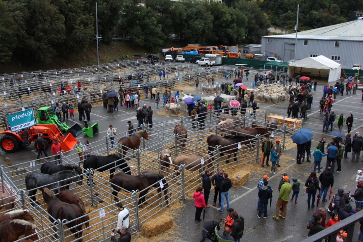 La 40a Fira concurs de bestiar celebrada a Andorra la Vella aquest dissabte.